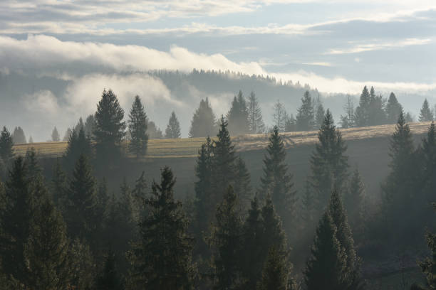istock Autumn Landscape with fog in mountains 1012490452