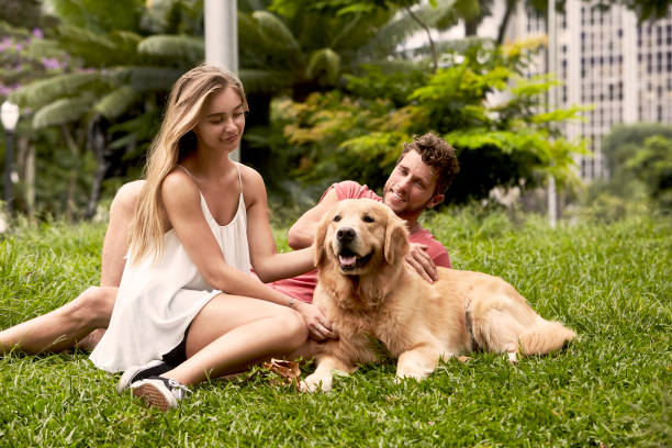 istock Pet dog and couple 1012501276