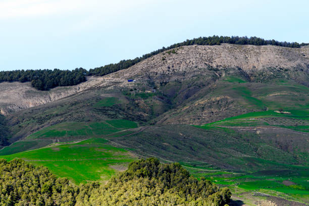 istock Nature of Algeria 1012506414