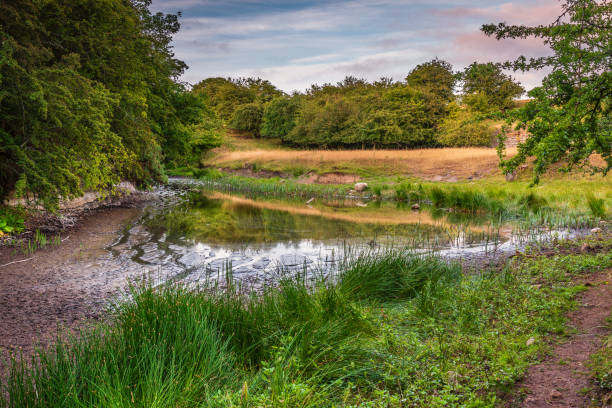 Low Water at Littlemill Quarry Pond The Nature Reserve is a disused limestone quarry at Littlemill in Northumberland near Howick, also called Evelyn Howick Memorial Reserve lime kiln lighthouse stock pictures, royalty-free photos & images