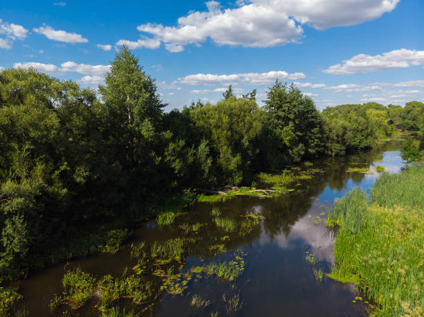 istock Summer landscape with river in Russia 1012510712
