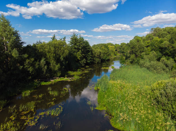 istock Summer landscape with river in Russia 1012512850