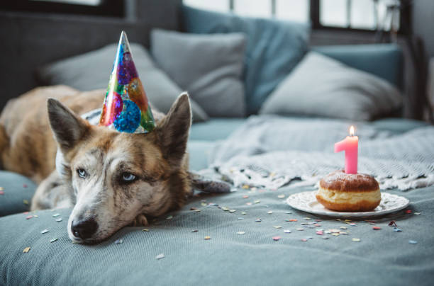 istock Happy birthday dear friend 1012518574