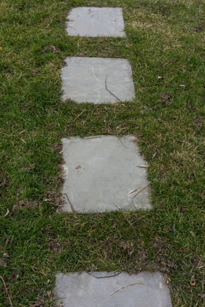 istock concrete steps pathway on green lawn meadow 1012518682