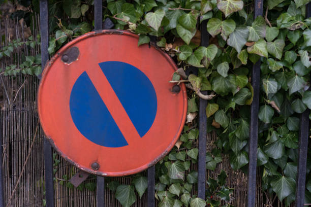 istock parking forbidden sign covered with leaves 1012519440