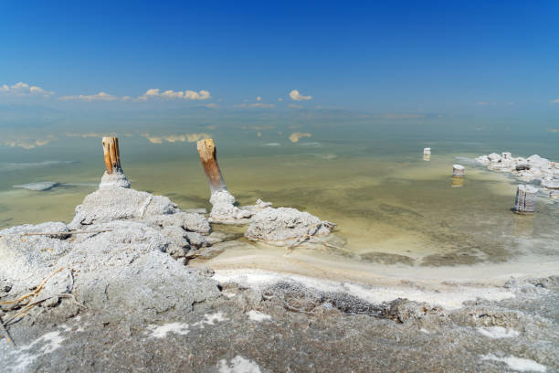 drewniane filary ze skrystalizowanym solą na jeziorze słonym urmia. iran - lake urmia zdjęcia i obrazy z banku zdjęć