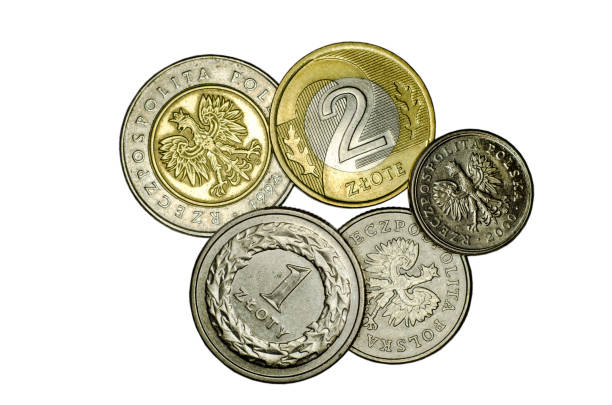 istock Different Polish zloty coins. 1012522458