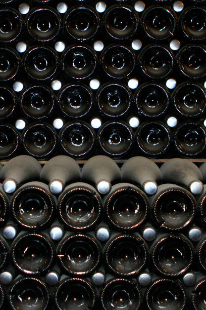 istock Champagne bottles, lying in the cold dusty dark wine cellar close up front view 1012523148