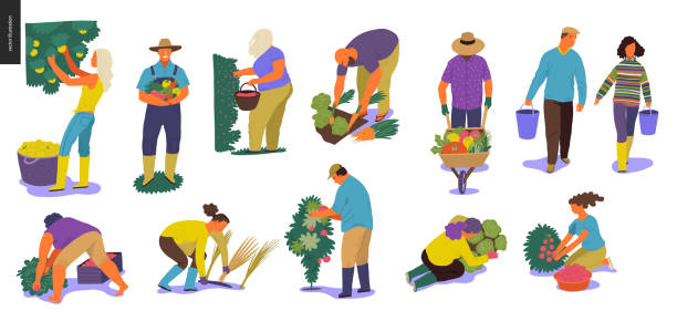 Harvesting people set Harvesting people - set of vector flat hand drawn illustrations of people doing farming job - watering, gathering, planting, growing and transplant sprouts, self-sufficiency and harvesting concept farmer symbols stock illustrations