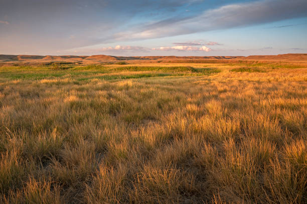 Rrenchman River Valley at Sunrise
