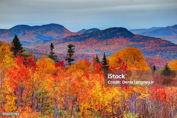 Autumn In The White Mountains Of New Hampshire Stock Photo - Download Image Now - Autumn, New England - USA, Mountain