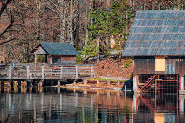 istock Lake Bohinj - Slovenia 1012530760
