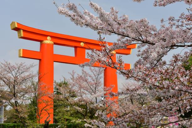 平安神宮と京都の桜の鳥居 - 平安神宮 ストックフォトと画像
