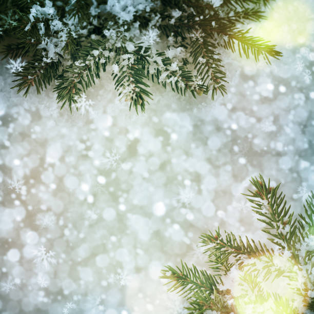 istock Closeup of Christmas-tree 1012538160