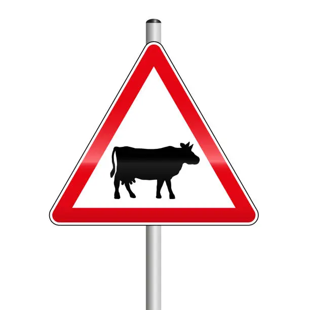 Vector illustration of Caution, cow or cattle herd crossing the street. Traffic sign. Isolated on white.