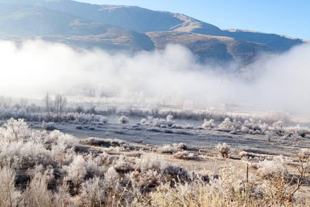 istock Winter landscape with fog 1012552066