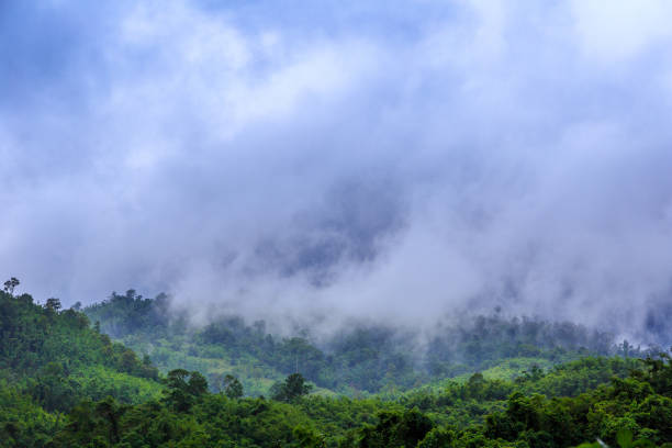 istock Mountain Landscape at Sunrise 1012555068