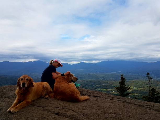istock Woman on mountaintop with two dogs 1012558494