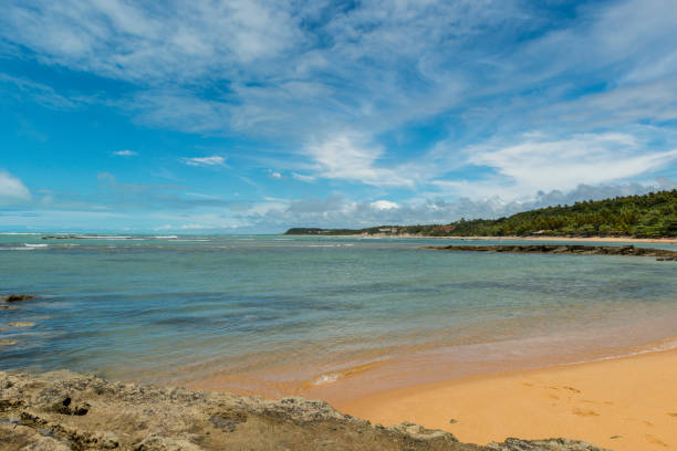 istock Praia do Espelho, Porto Seguro (Bahia - Brazil) 1012561104