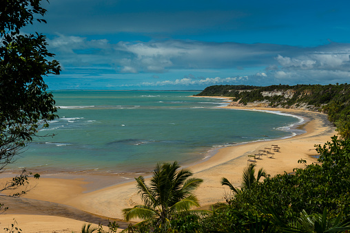 Stunning view of the vegetation and the beach 'Praia do Espelho' in Porto Seguro, Bahia state - Brazil