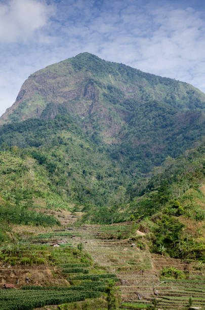istock Green and Cloudy Muria Mountain Peak Indonesia 1012562742