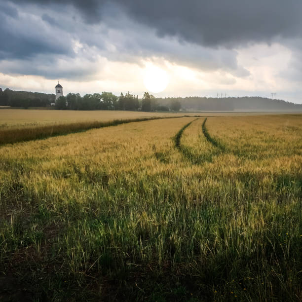 Dramatic landscape. Sunset and rain over a farmer's field.