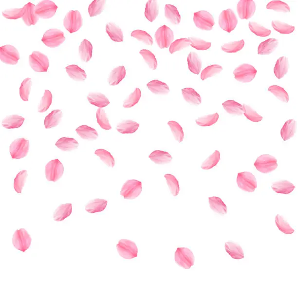 Vector illustration of Sakura petals falling down. Romantic pink silky medium flowers. Sparse flying cherry petals. Top gra