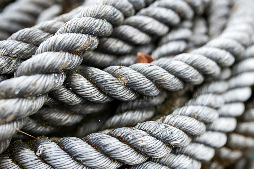 Thuringia, Germany: Old grey ropes with moss lie on each other.