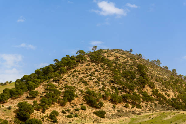 istock Nature of Algeria 1012590564
