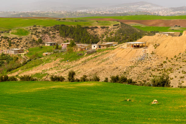 istock Nature of Algeria 1012590614