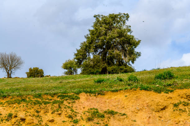 Nature of Algeria