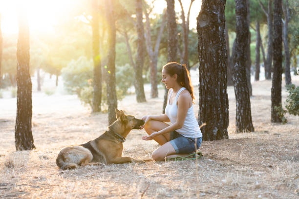 istock Woman teaching and loving her dog 1012590736