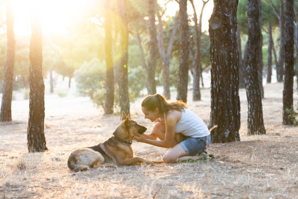 istock Woman teaching and loving her dog 1012593478