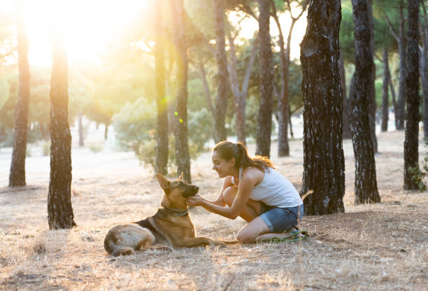 istock Woman teaching and loving her dog 1012593566