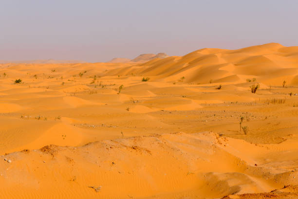 istock Dunes of the Sahara desert 1012596876