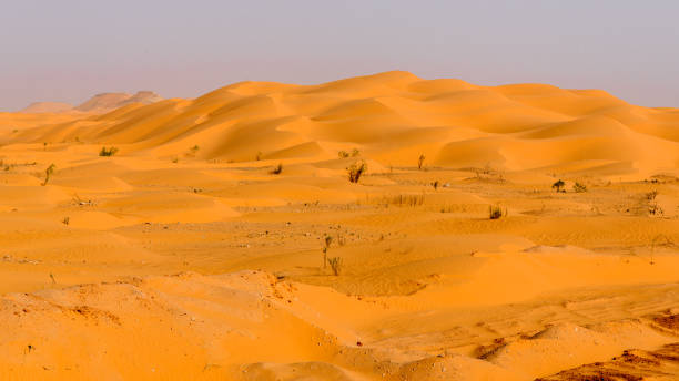 istock Dunes of the Sahara desert 1012596890