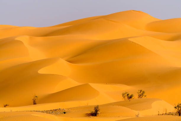 istock Dunes of the Sahara desert 1012596942