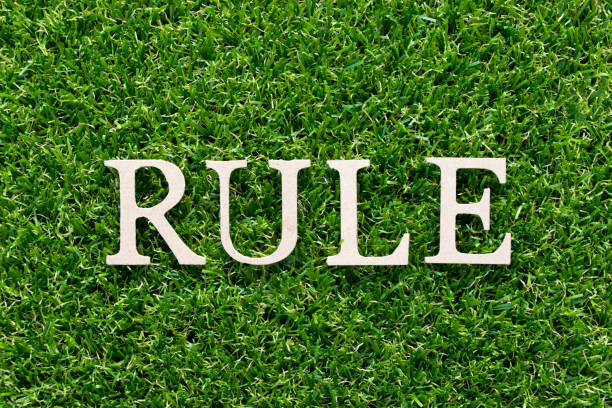 istock Wood alphabet in word rule on artificial green grass background 1012602290