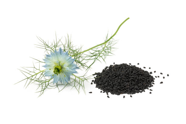 haufen schwarz nigella samen und blumen - nigella sativa stock-fotos und bilder