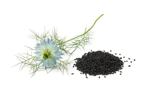 Heap of black nigella seeds and blue flower isolated on white background