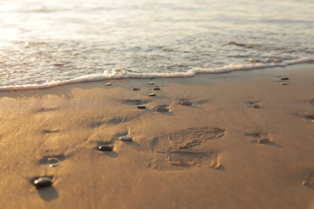 Stones lying peacefully on the smooth sand at golden hour, waves.