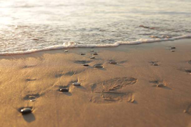 Pebble stones on beach sand, sunrise stock photo