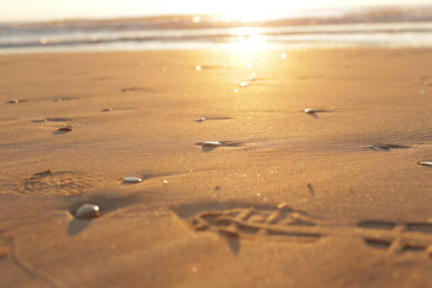 Pebble stones and footsteps on sand at sunrise stock photo