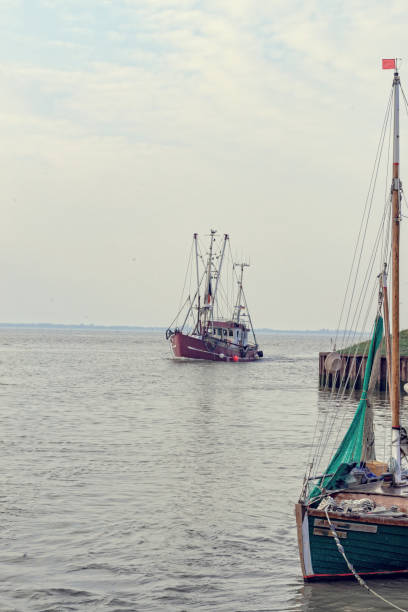 istock North Sea shrimp boats 1012612352