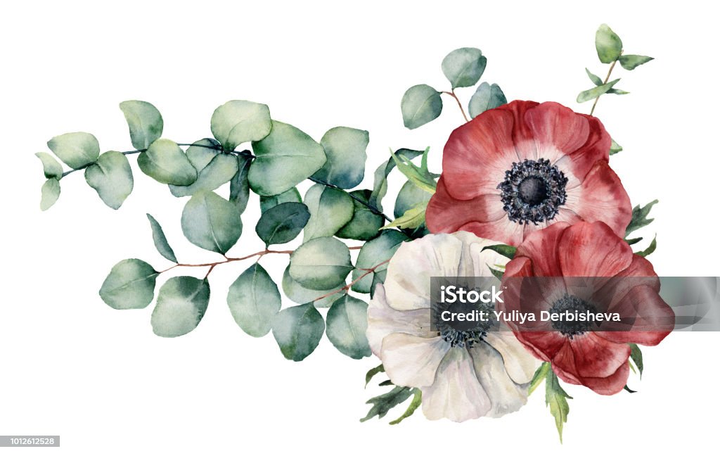 Watercolor asymmetric bouquet with anemone and eucalyptus. Hand painted red and white flowers, eucalyptus leaves and branch isolated on white background. Illustration for design, print or background. Watercolor asymmetric bouquet with anemone and eucalyptus. Hand painted red and white flowers, eucalyptus leaves and branch isolated on white background. Illustration for design, print or background Flower stock illustration