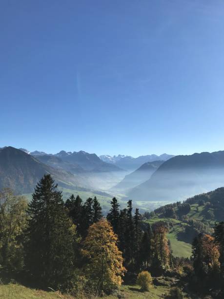 istock forest landscape panorama with mountain view in switzerland 1012622512
