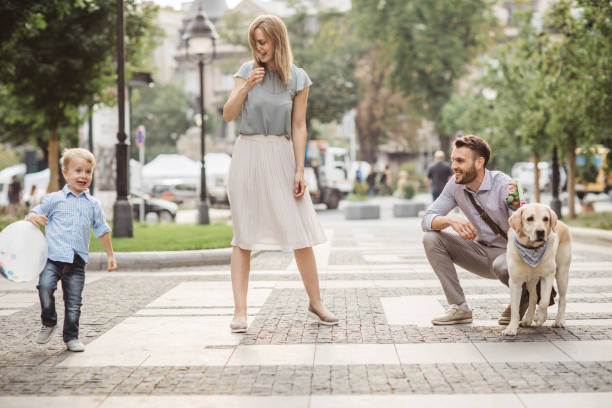 istock Family walking dog 1012622700