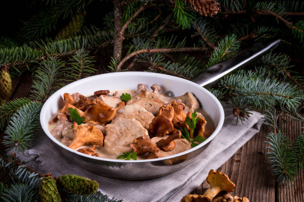 istock Pork tenderloin with Chanterelle sauce 1012633734
