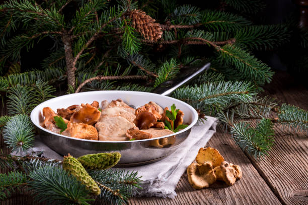 istock Pork tenderloin with Chanterelle sauce 1012634216