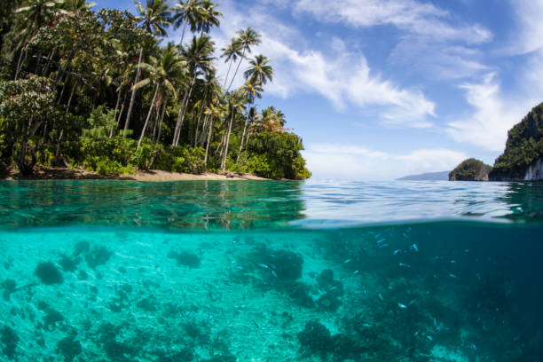 istock Beautiful, Remote Island in the Coral Triangle 1012648060